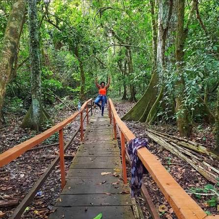 Okomu National Park