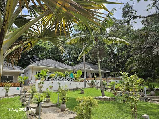 Cliantro Restaurant