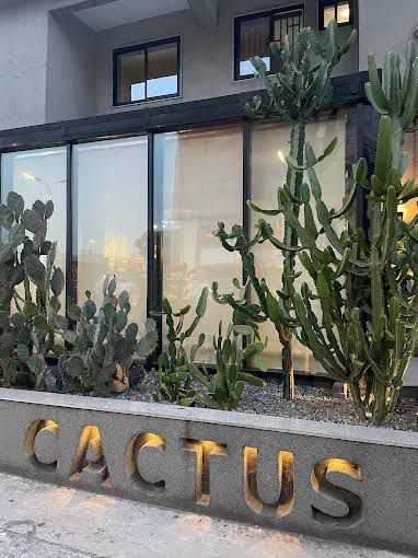 Cactus Restaurant 58