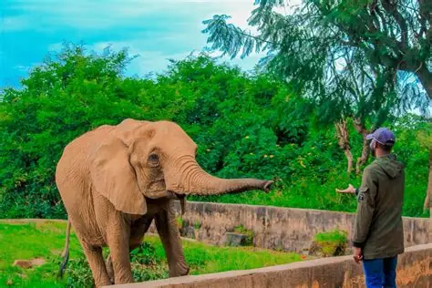 Jos Wildlife Park