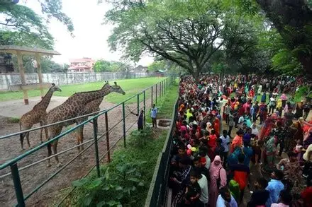University of Ibadan Zoological 