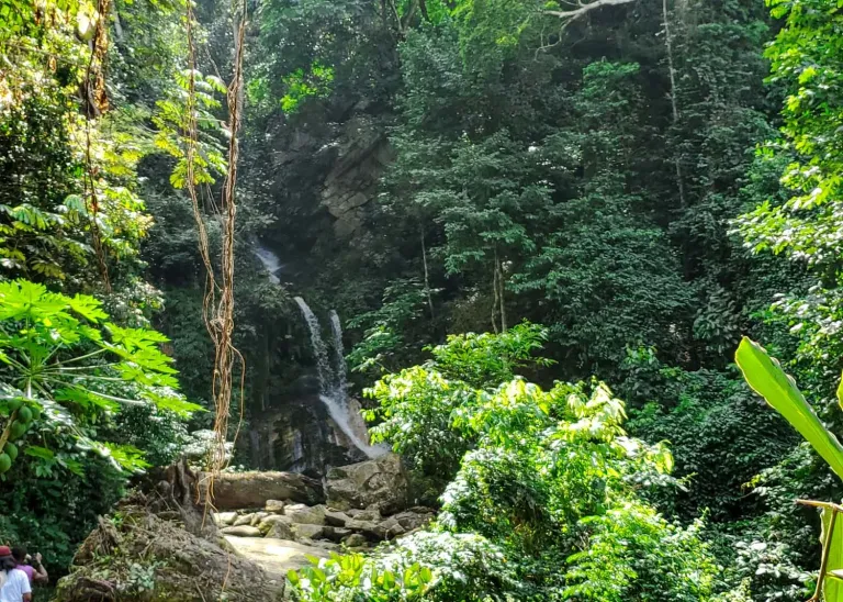 Erin-Ijesha Waterfalls