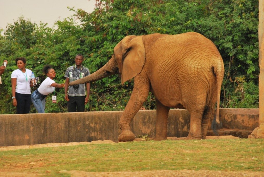 Jos Wildlife Park